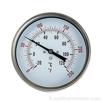 Connexion Thermomètre en anneau en acier inoxydable NPT